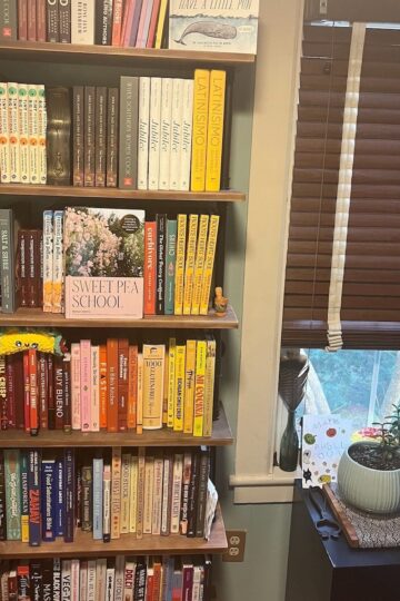 Bookshelves with a desk and window on the side.
