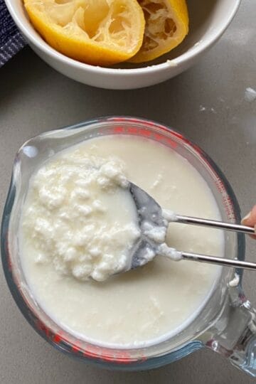 Creamy cottage cheese in a glass jug with fresh lemon wedges in a bowl, ideal for healthy snacks or recipes.
