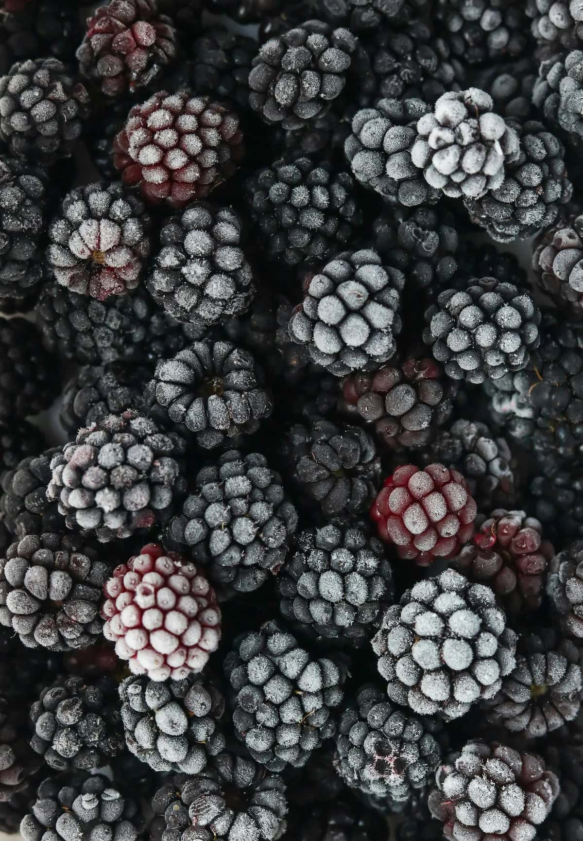 Frozen Blackberries.