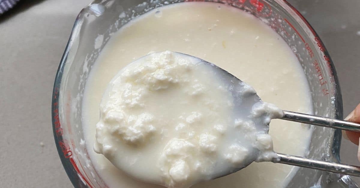 Buttermilk in a small clear jug. 