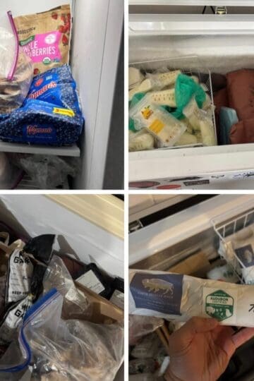 Chest freezers and their contents.
