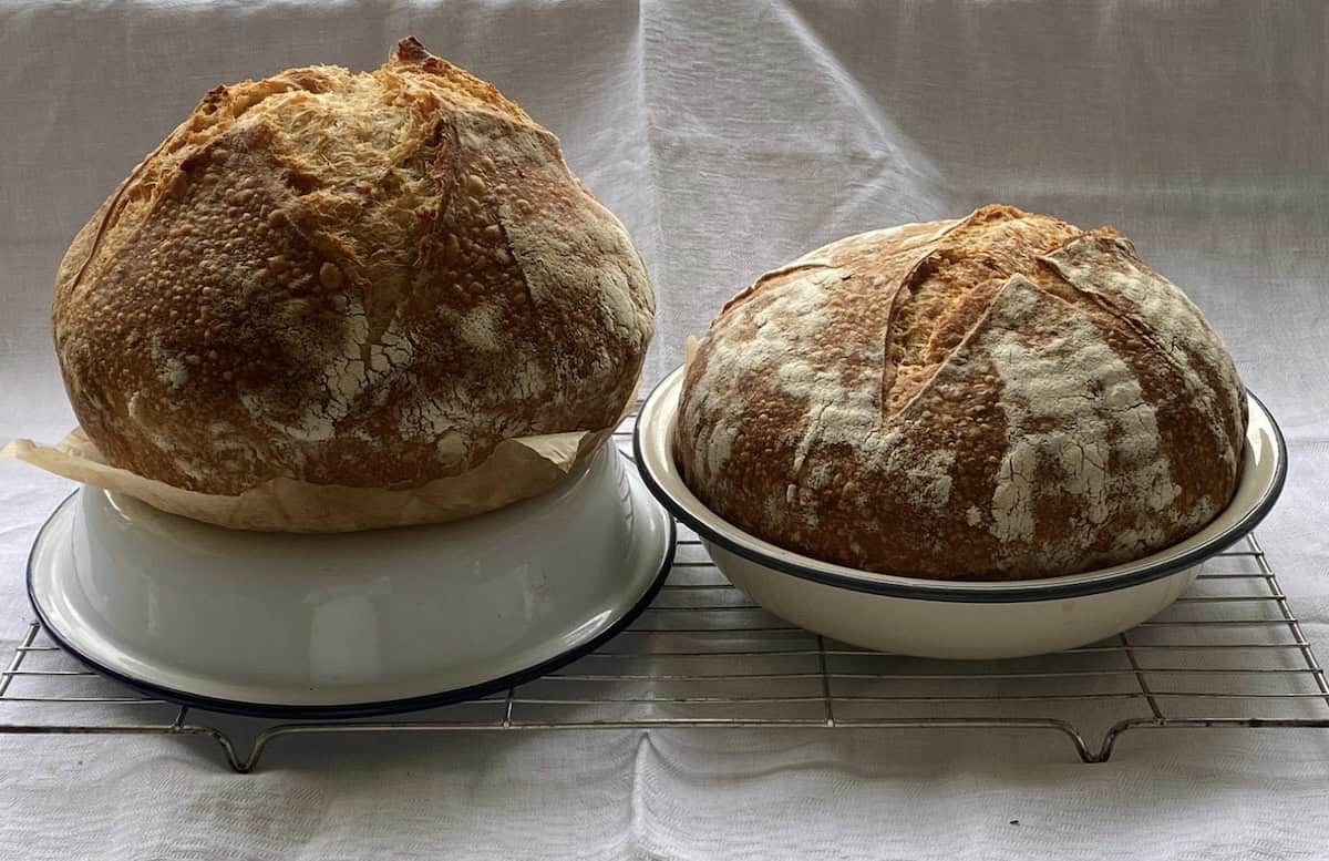 Two sourdough loaves in baking tins.